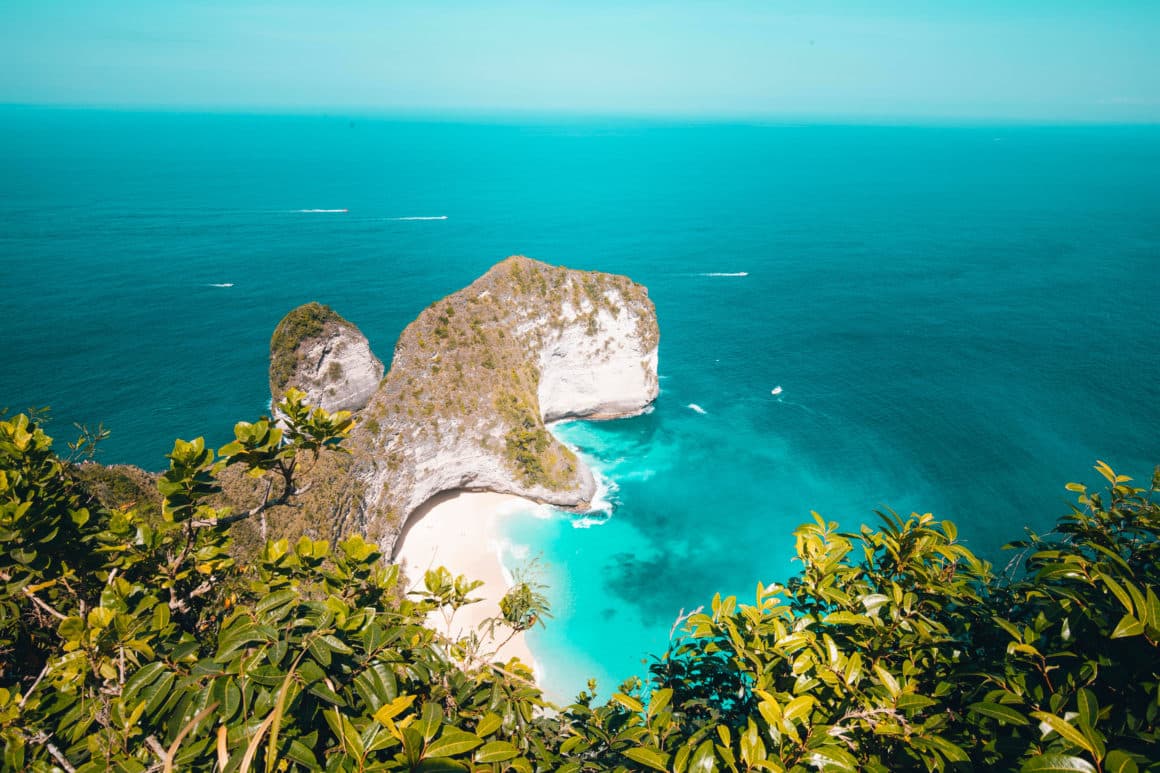 nusa penida t-rex