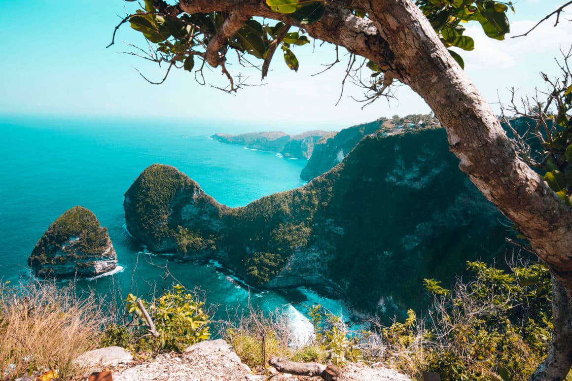 nusa penida t-rex