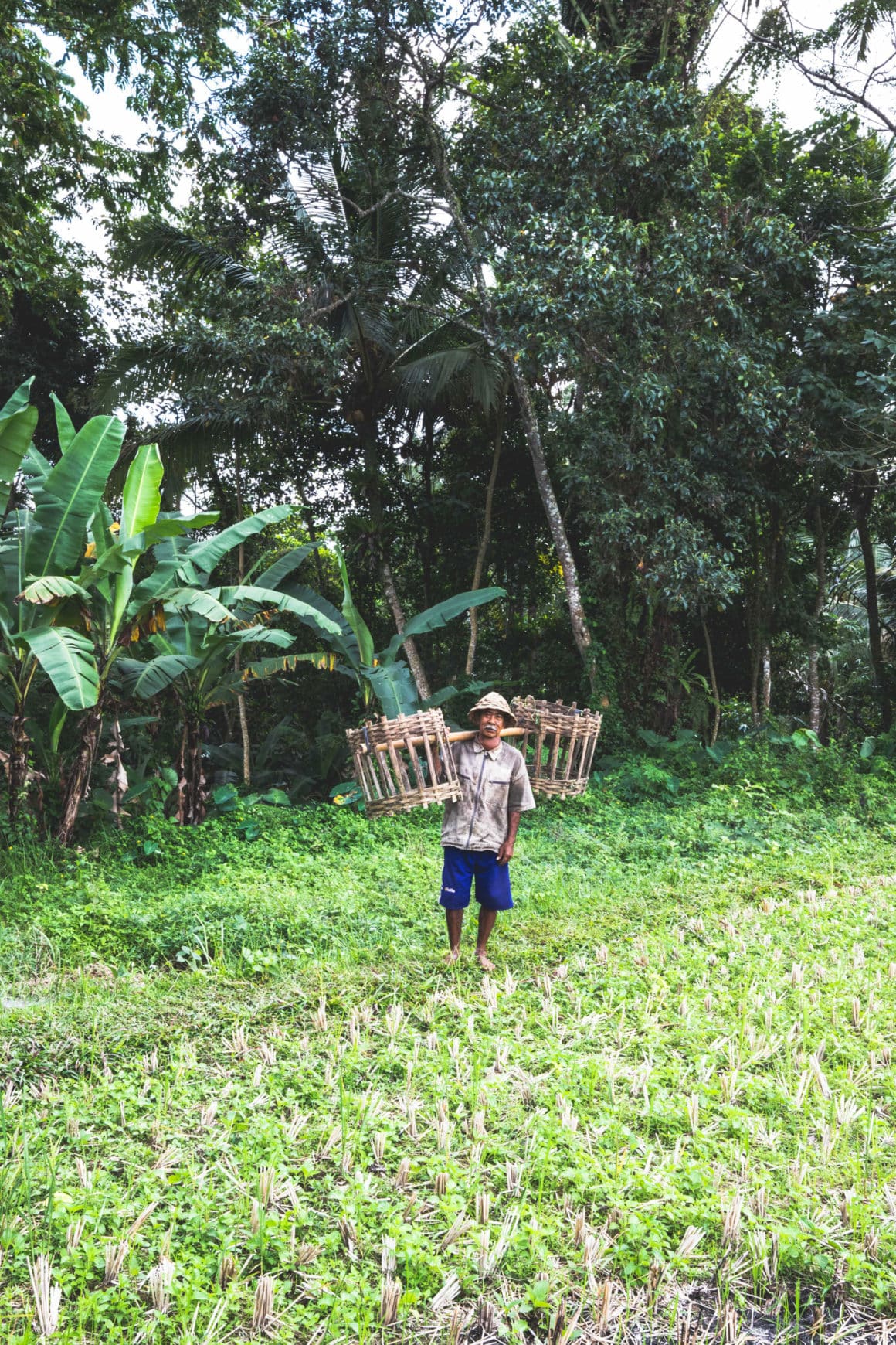 ubud Tegallalang rice terrace