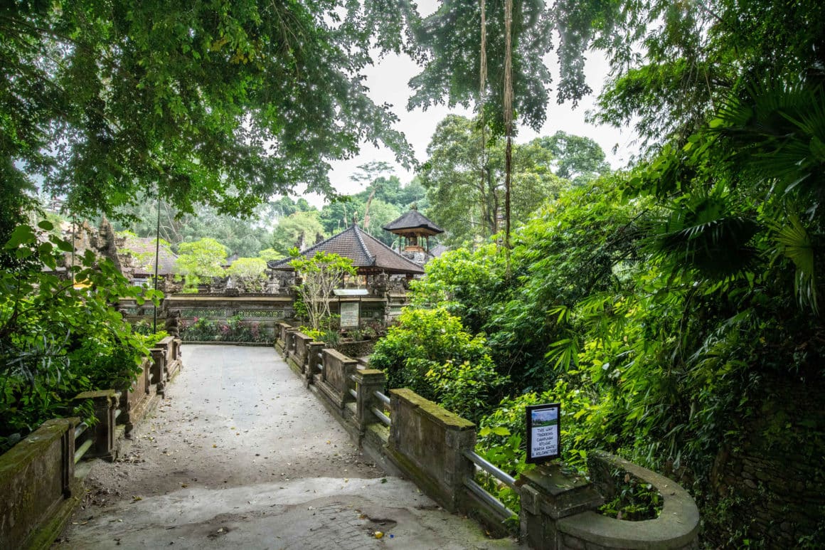 ubud campuhan ridge walk