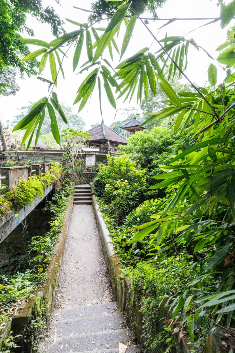 ubud campuhan ridge walk