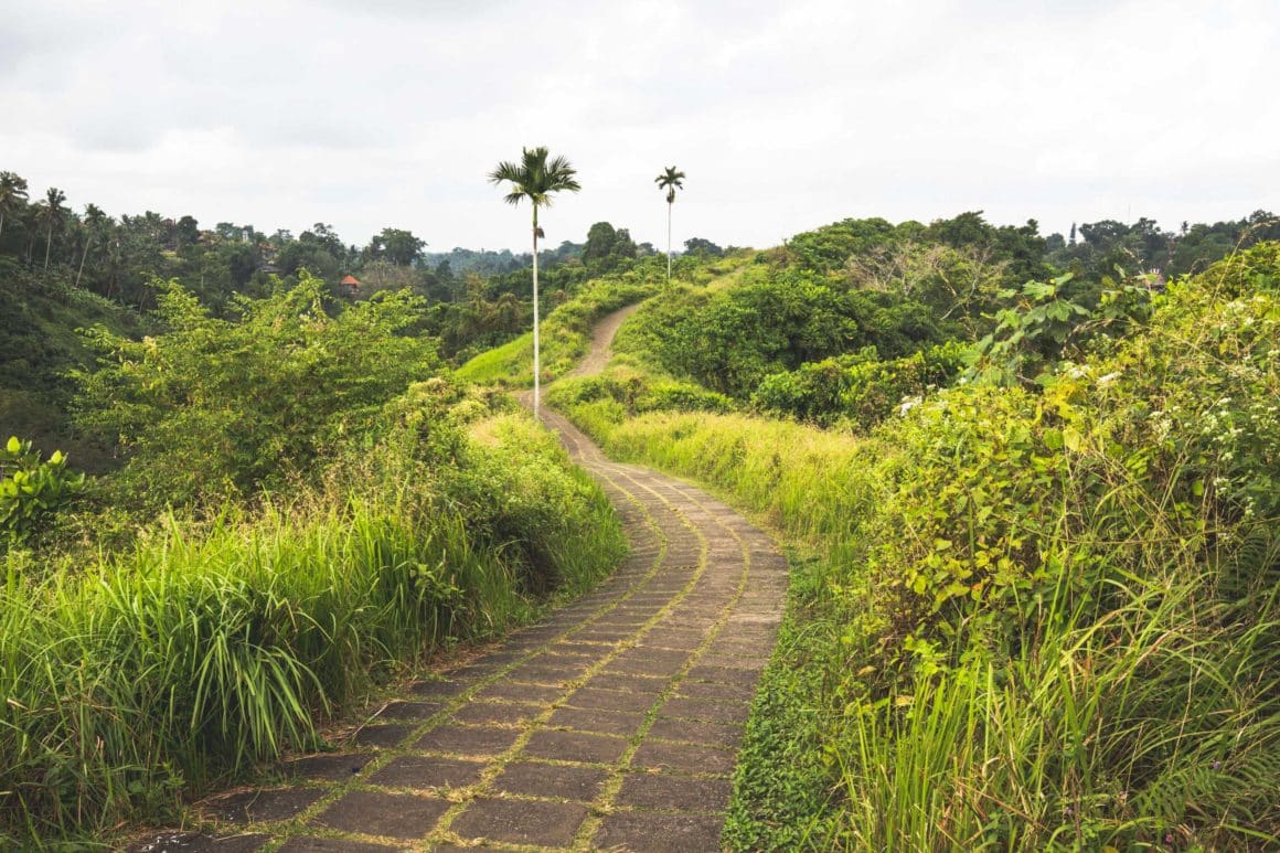 ubud campuhan ridge walk