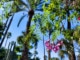 marrakech 5 jours jardin majorelle