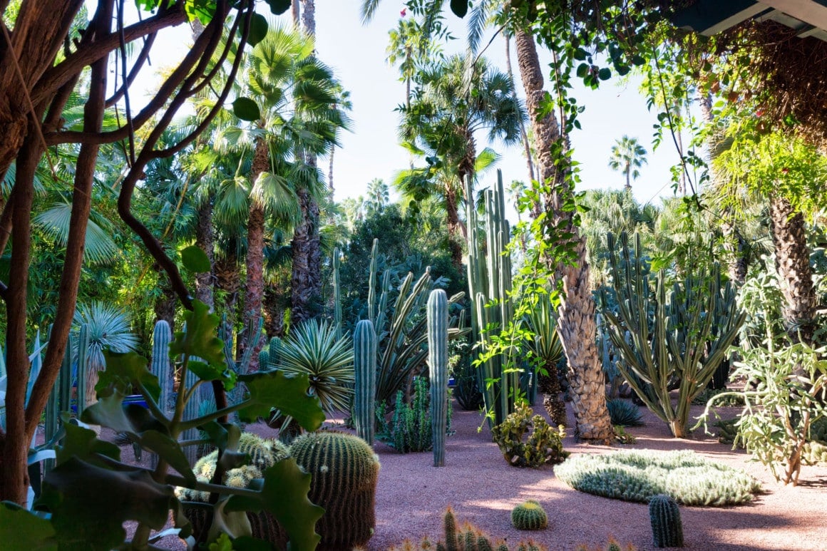 marrakech 5 jours jardin majorelle