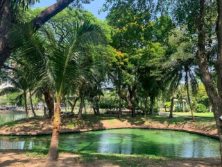 voyage bangkok parc lumphini