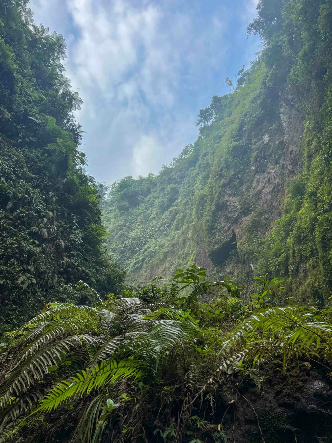 Visite des alentours de la cascade de Sewu