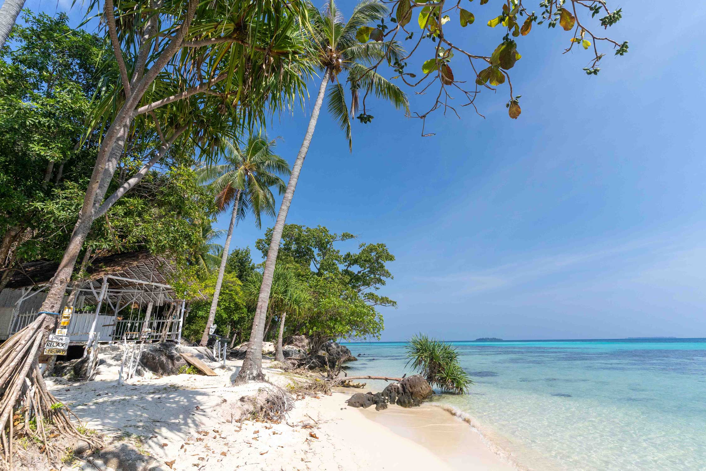 Que faire à Karimunjawa ? Guide 2024 Coconut Story